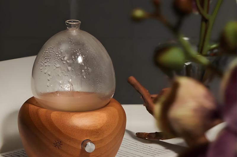 Transform Your Space with the Power of an Aroma Diffuser