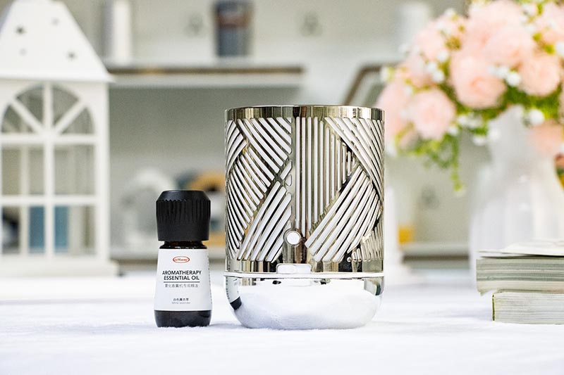 Battery-Powered Silver Stripe Metal Mist Aroma Diffuser