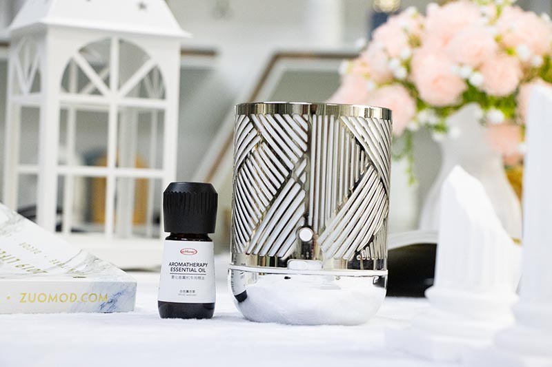 Battery-Powered Silver Stripe Metal Mist Aroma Diffuser