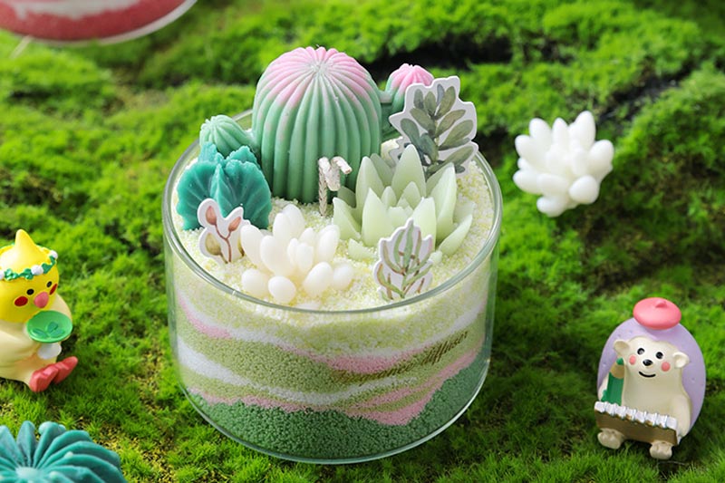 Decorative Scented Candles in Adorable Succulent Designs