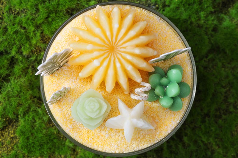 Decorative Scented Candles in Adorable Succulent Designs